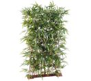 Plante Artificielle Haute Gamme Spécial Extérieur/ Haie Artificielle Bambou, Vert -150 X 50 X 130 Cm