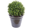 Plante artificielle haute gamme Spécial extérieur / Buis boule artificiel - Dim : H.50 x D.40 cm