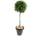 Plante Artificielle Haute Gamme Spécial Extérieur/buis Boule Coloris Vert - H.110 X D.45 Cm