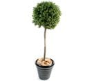 Plante Artificielle Haute Gamme Spécial Extérieur/buis Boule Coloris Vert - H.140 X D.50 Cm