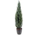 Plante Artificielle Haute Gamme Spécial Extérieur/cyprès Artificiel Mini Vert - 150 X 35 Cm