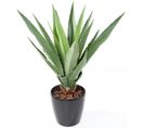 Plante Artificielle Haute Gamme Spécial Extérieur/agave Furcraea Artificielle - 110 X 90 Cm