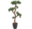 Plante artificielle haute gamme Spécial extérieur / Podocarpus artificiel - Dim : 135 x 80 cm