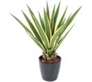 Plante Artificielle Haute Gamme Spécial Extérieur/agave Artificielle Furcraea - 110 X 90 Cm