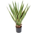 Plante artificielle haute gamme Spécial extérieur / AGAVE FURCRAEA - Dim : 80 x 60 cm