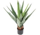 Plante artificielle haute gamme Spécial extérieur / FURCRAEA Artificiel - Dim : 80 x 60 cm