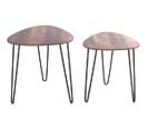 Lot De 2 Tables D'appoints Coloris Noir-chêne