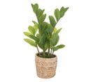 Zamioculcas Artificiel Avec Pot Naturel - Hauteur 41 Cm - Vert