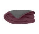 Couette Chaude Bicolore Gamme Microfibre - Toison D'or - Cocoon Prune Acier - 200 X 200 Cm