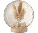 Dome Botanique Bois Clair Verre 15x15x16cm