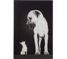 Tableau Chiens Blanc Verre 81x2,5x120,5cm