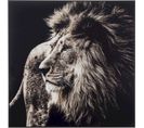 Tableau Lion Gris Verre 101,56x2,5x100,5cm