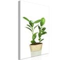 Tableau Plant In Pot (1 Part) Vertical 80 X 120 Cm Blanc