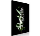 Tableau Lilas Blancs (1 Partie) Vertical 80 X 120 Cm Noir