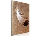 Tableau Feather On The Sand Vertical 60 X 90 Cm Beige