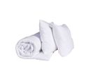 Pack Couette Mi-saison + Oreillers Anti-punaise / Anti-insecte Moelleux Enveloppe Microfibre 240x220