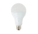 Ampoule LED A70, Culot E27, 15w Cons. (100w Eq.), Lumière Blanc Froid