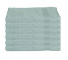 Lot De 6 Serviettes De Toilette En Coton Vert Givré Tissu Éponge 30 X 50 Cm