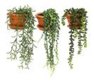 Plantes Artificielles En Pot Terracotta (lot De 3)