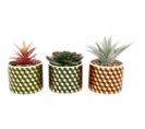 Plantes Succulentes Artificielles Cubic (lot De 3)