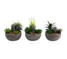 Succulente Artificiel Avec Bouddha (lot De 3)