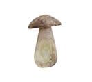 Champignon En Teck Hauteur 29 Cm - Champi L