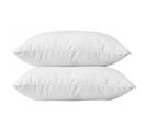 Lot De 2 Oreillers Anti-acariens 45 X 70 Cm Phytopure "blanrêve"