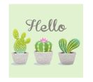 Lot De 20 Serviettes Papier Hello