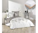 Pack Housse De Couette 220x240 Cm Goyave + Drap Housse 140x190 Blanc