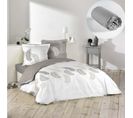 Pack Parure De Couette 260x240 Cm Goyave + Drap Housse 160x200x30 Gris