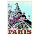Travel - Signature Poster - Paris - 60x80 Cm