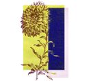 Japan - Signature Poster - Flower1 - 30x40 Cm