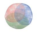 Assiette Plate Tricolore-paradise Par Boite De - 6