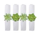 Lot De 4 Ronds De Serviette Plantes Grasses