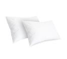 Lot De 2 Oreillers Chambord 45x70 Cm Duvet et Plumes