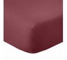 Drap Housse 90x190 +35 Cm 100% Coton 57 Fils Cerise