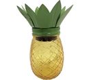 Ananas Solaire