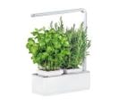 Jardinière Avec Lampe LED Intégrée Mini Potager