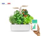 Potager d'intérieur Véritable® Connect Moonlight Gold - Connecté À L'application - Made in France