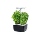 Potager d'intérieur Exky® SMART Soft Black - Made in France