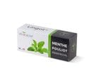 Lingot Menthe Pouliot - Recharge Prête à L'emploi