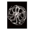 Curiosity - Signature Poster - Octopus - 30x40 Cm