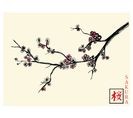 Japan - Signature Poster - Sakura - 40x60 Cm