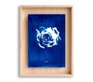 Cadre Carpë Cyanotype Rose 40x30cm Bleu