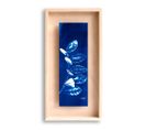 Cadre Carpë Cyanotype Zz Plante 40x20cm Bleu