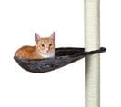 Hamac - Nid Xl Pour Griffoir Pour Chat Gris Platinium Peluche