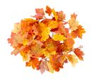 Guirlande Décoration Herbst Feuilles D'érable Artificielles, Coloris Automne