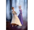 Poster Disney La Reine Des Neiges 2 - Anna Et Elsa Se Promènent En Forêt 40 Cm X 50 Cm