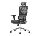 Chaise De Bureau Hwc-j89 Ergonomique Appui-lordose Noir