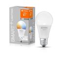 Ampoule Smart+ Wifi Standard Depolie 75w E27 Variation De Blancs